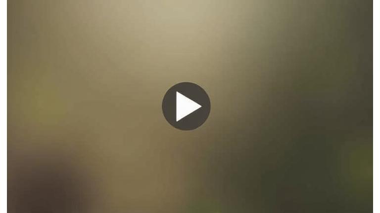 Video placeholder untuk Jelajah Kopi